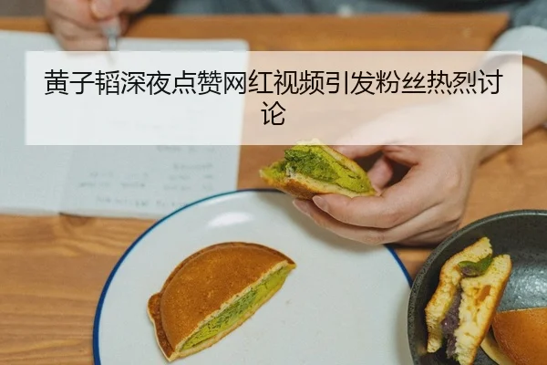 huang-zi-tao-shen-ye-dian-zan-wang-hong-shi-pin-yin-fa-fen-si-re-lie-tao-lun-2-154.jpg