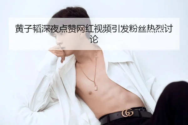 黄子韬深夜点赞网红视频引发粉丝热烈讨论